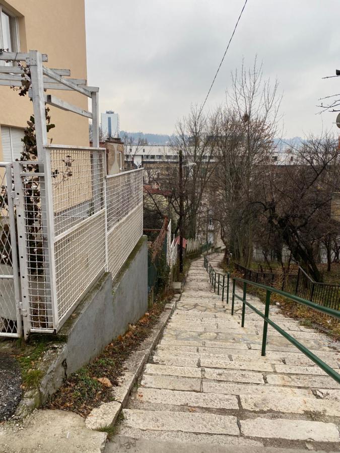 Apartman Kalemova *